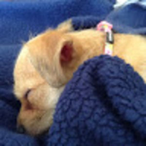 Meet your Posher, Meg